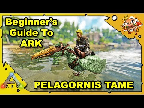 How to Get Started in ARK - A Beginners Guide - Tame A Pelagornis! - Ark: Survival Evolved [S4E21]