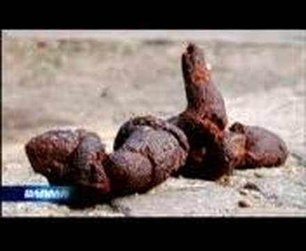 Harald Schmidt erklärt den FC Bayern