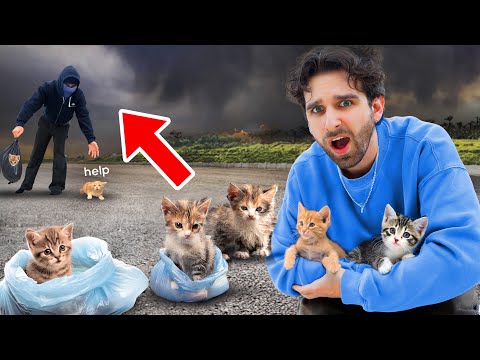 Someone Is ABANDONING Kittens In My Neighborhood (CAUGHT ON CAMERA)