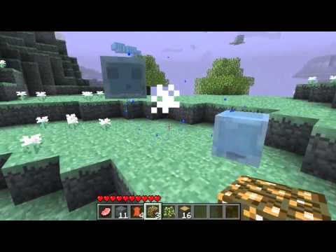 Lets Play - Surviving Minecraft Ep.41 (Exploring the Aether!!)