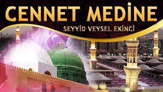 İlahi - Kuşlar Kadar Olamadım, Medine'ye Uçamadım, Ben RASUL'e  Varamadım, Cennet Medine