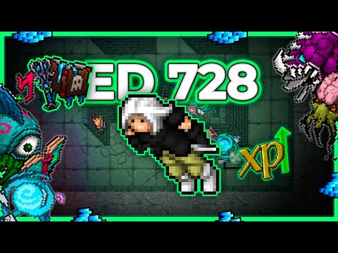 ED 728 Hunt x4 Secret Library Energy Section 10.1kk/h Raw + 4.7kk Profit - Tibia Hunt [13.17] #tibia