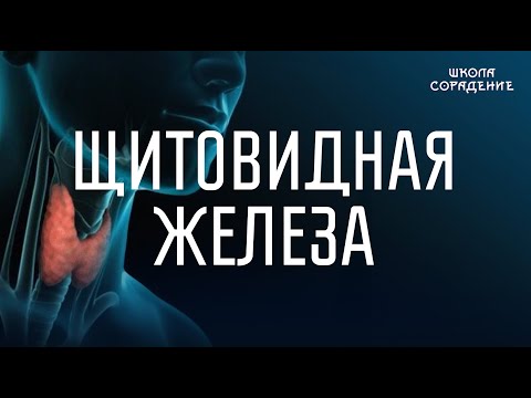 Щитовидная железа  Древние системы. #щитовиднаяжелеза #Весталия #школаСорадение