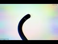 Seizure Warning