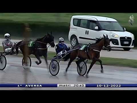 Aversa trotto 10 Dicembre 2022 - 1° Corsa