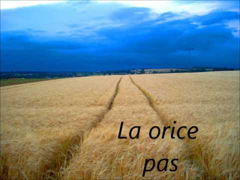 LA ORICE PAS • Ruben Diaconu