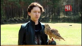 Как приручить крылатого охотника?