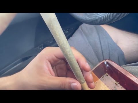 Fat Joint For 4th Of July Weekend (Stiiizy Blue Burst Flower)