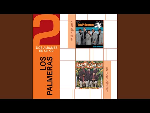 La Segunda Del Diario De Un Borracho