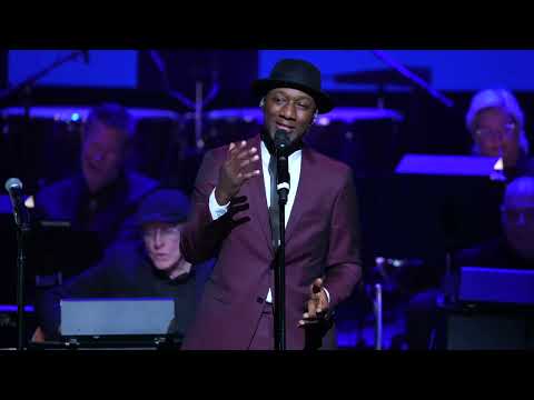 PJO feat. Aloe Blacc - "Wake Me Up"