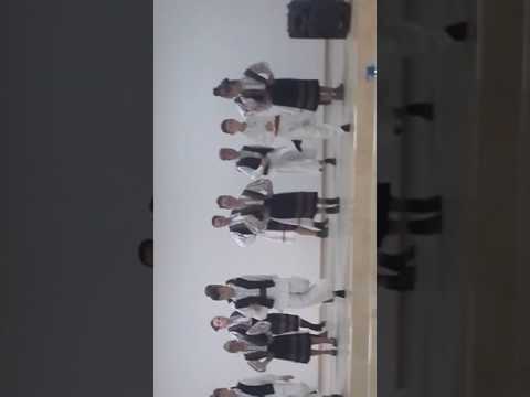 Spectacol de dansuri populare: Ansamblul Crisiia Comuna Cociuba Mare😊☺