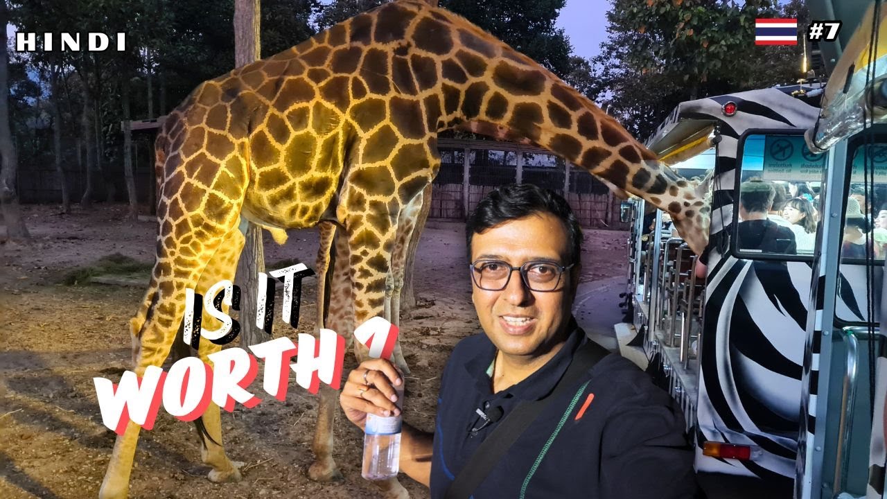 Experience the mesmerizing Chiang Mai Night Safari through a traveler's captivating video journey.