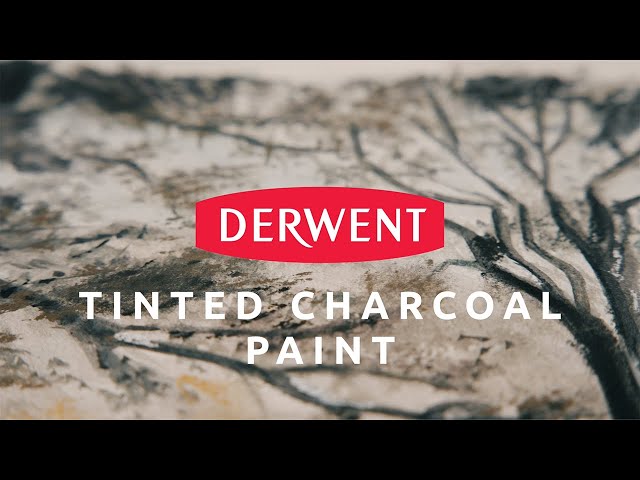 Vídeo relacionado con Derwent 0700838 - Caja Metálica con 6 Lápices de Carboncillo Derwent Charcoal para Dibujar y Escribir, Set de 6 con Sacapuntas, Claro, Medio, Oscuro y Carboncillo Blanco Tintado, Calidad Profesional