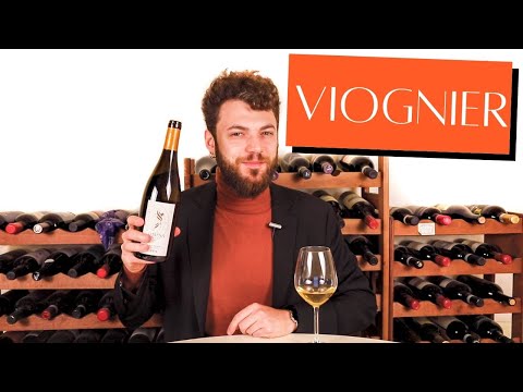 Tasting one of the best italian Viognier Wines - Ômina Romana