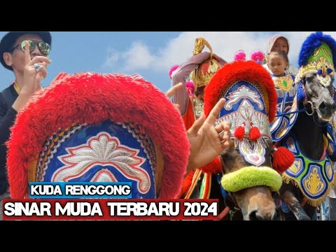 Dancing horses cause traffic jams - Dancing horse video