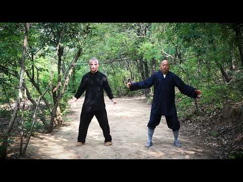 20-Minute Daily Practice ☯️  Internal Shaolin Kung Fu with Shifu Wu Nanfang ☯️  Gulun Kung Fu 古轮功夫