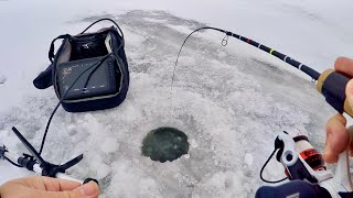 There were 1000s of these GIANT Fish HERE! - Ice Fishing Lake Winnebago!