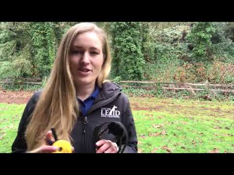 Educator E Collar Remote Dog Training Collar With Tone