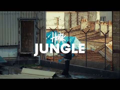 Video thumbnail for JUNGLE