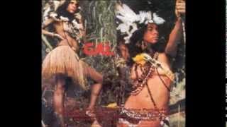 Sebastiana ( Remix  DJ Zé Pedro... )