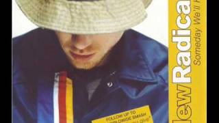 SCARICA MP3 NEW RADICALS