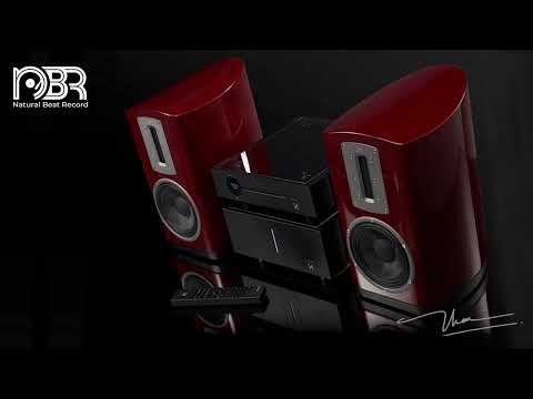 Hi Res Audiophile 2023 - Ultimate Audio Setup - Natural Beat Records
