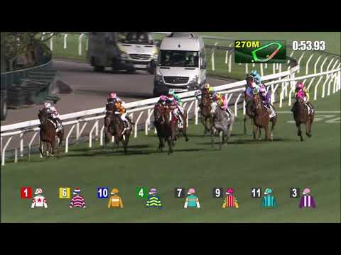 3/3/2021 (477) Wind N Grass - Z Purton (Purton 5W!)