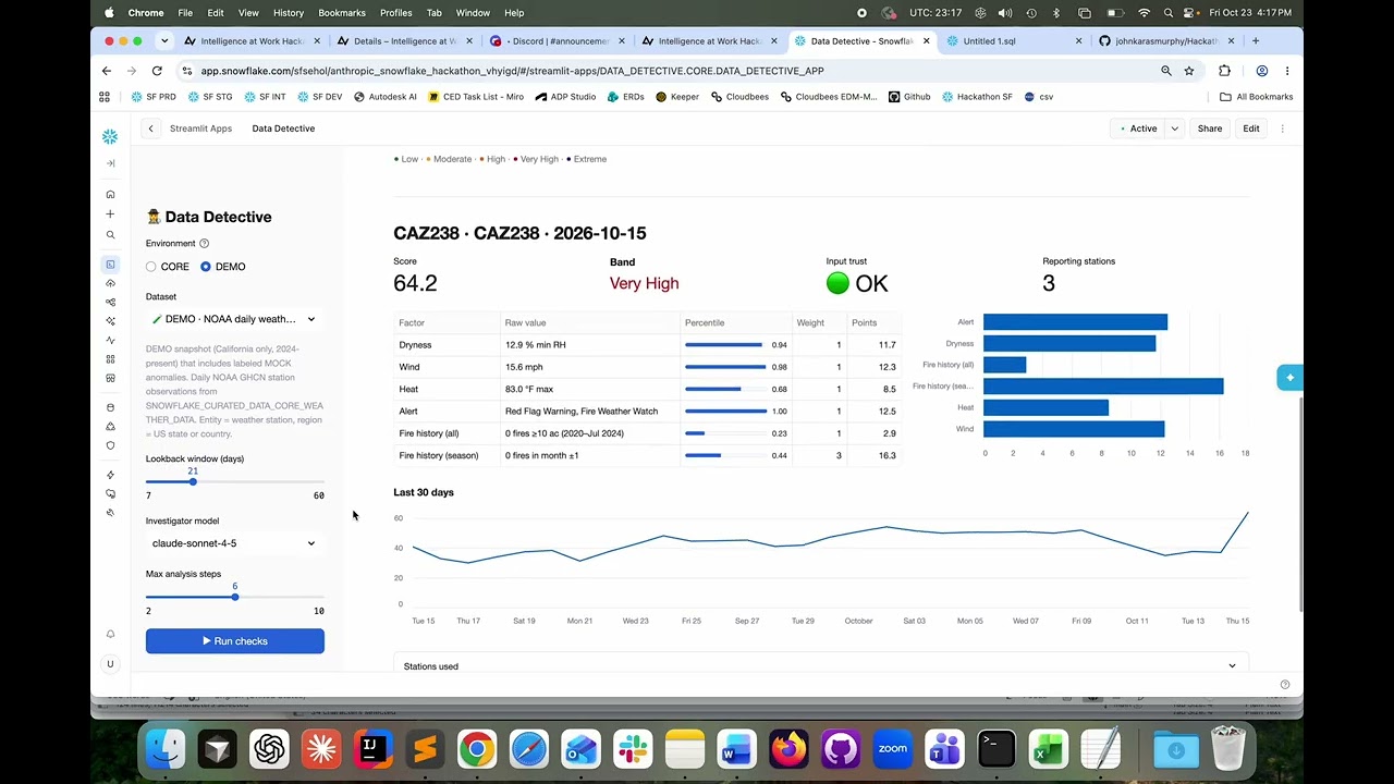 Data Detective project preview