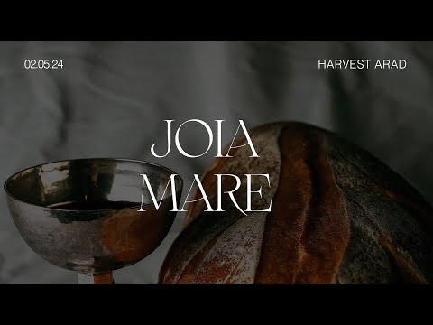 JOIA MARE | Raul Todinca | Harvest Arad