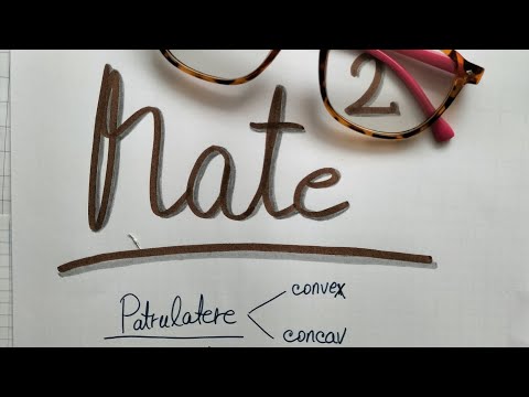 Patrulatere - teorie - convex, concav + probleme