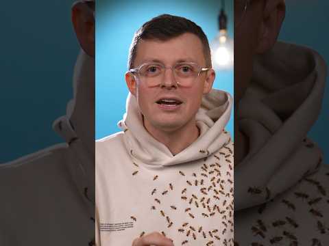 Ist der neue Kernfusionsrekord wirklich ein Rekord? #kernfusion #physik #energie