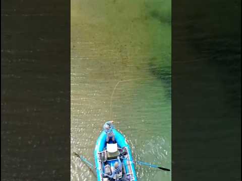 Lago Cholila Chubut Argentina El Pedregoso Aguas Arriba https://youtu.be/sdNaJOmWQVU