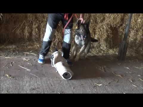 Chira Zde-Sko - protection 6/2020, helper Denis Soldan