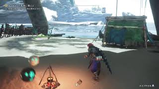 ワイルドハーツ LIVE PS5