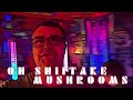 All Oh Shiitake Mushrooms Intro 2016 2025