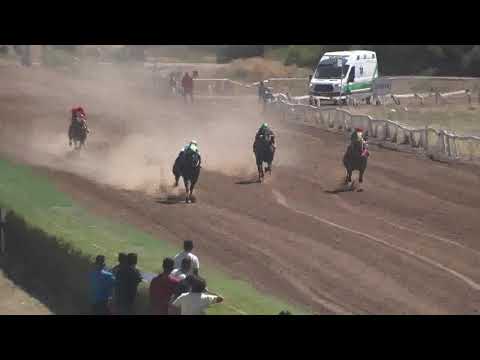 SEPTIMA CARRERA - Premio "HARAS AVIPAN" - Domingo 08 Mar/2020