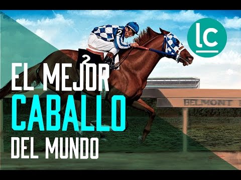 El mejor Caballo de la historia.