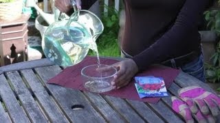 How to Soak Seeds Before Planting : Seed Planting Tips