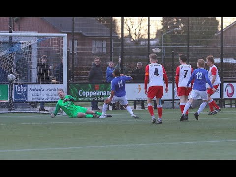 Samenvatting Marvilde - Rood Wit