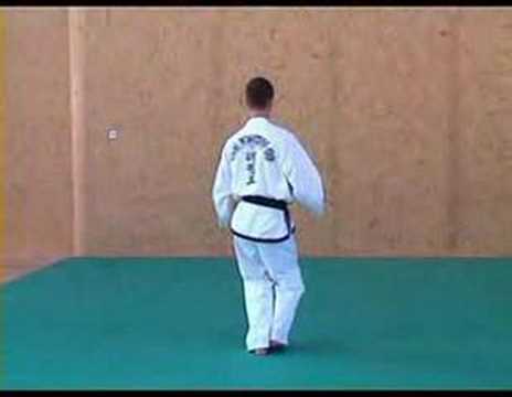 ITF Taekwon-Do Patterns (6 of 14) Won-Hyo