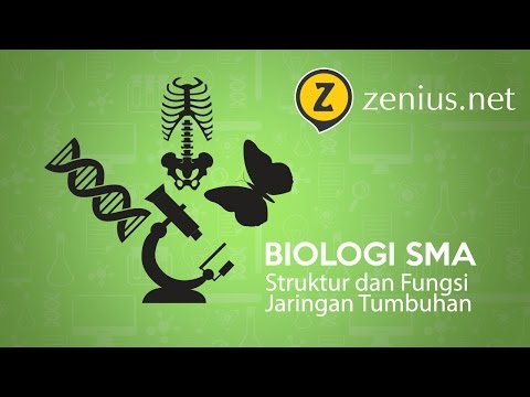 download lagu mp3 mp4 Cara Cepat Menghafal Jaringan Tumbuhan, download lagu Cara Cepat Menghafal Jaringan Tumbuhan gratis, unduh video klip Cara Cepat Menghafal Jaringan Tumbuhan