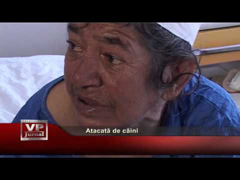 Atacată de câini