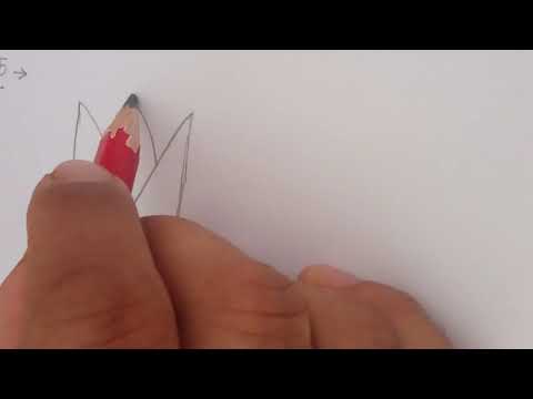 Draw and colour a flower