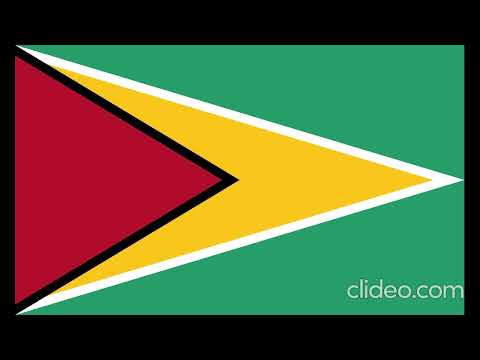 Flags of Countries of South America