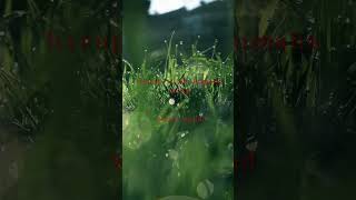 Download lagu WALI BAND | KUMAHA AING #shorts mp3