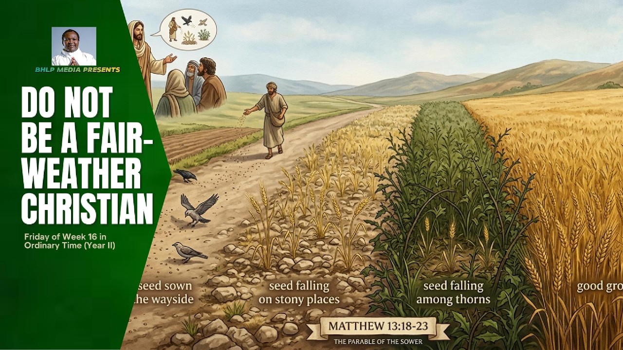 TODAY'S REFLECTION thumbnail