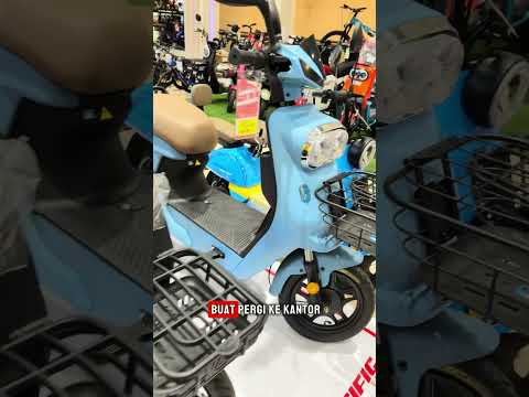 Electronic Pro E-Bike