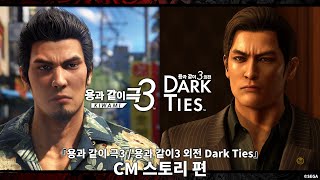 퀘이사존