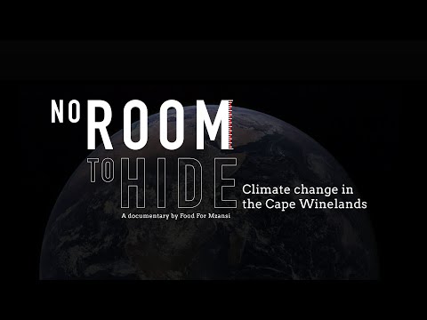 TRAILER | No Room To Hide: Climate Change in the Cape Winelands | Documentary