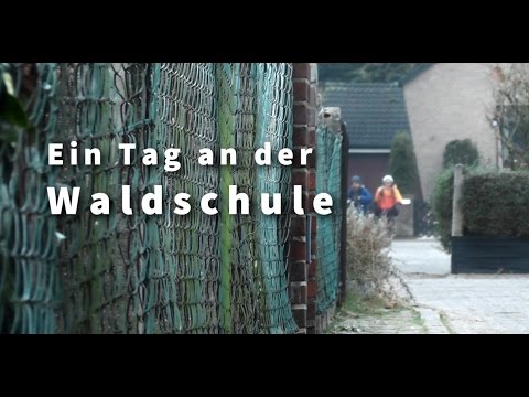 Ein Tag an der Waldschule